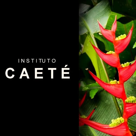 Instituto Caeté